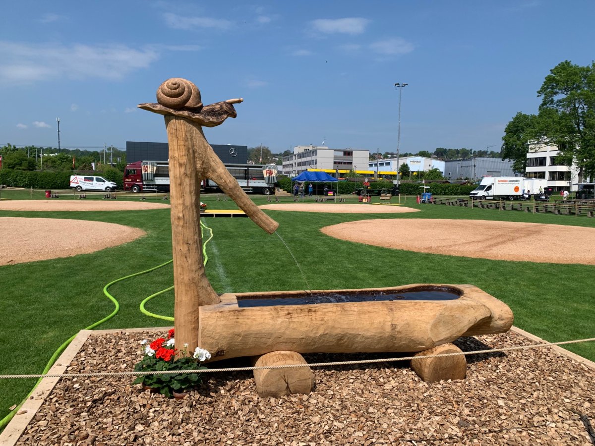 Spezialarbeiten für den Schwingklub Oberwil